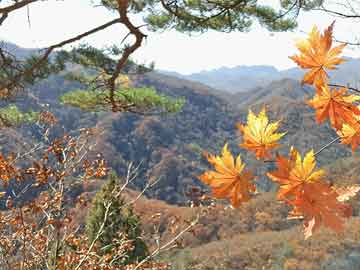 巴斯克斯神助攻,赫塔费无力回天