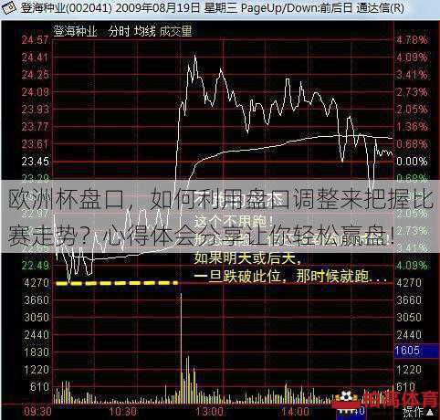 欧洲杯盘口，如何利用盘口调整来把握比赛走势？心得体会分享让你轻松赢盘！