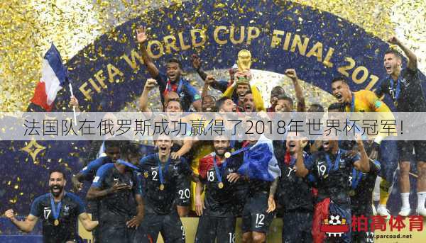 法国队在俄罗斯成功赢得了2018年世界杯冠军！