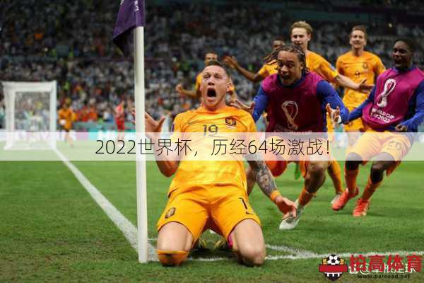 2022世界杯，历经64场激战！