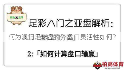 何为澳门足球盘口？盘口灵活性如何？