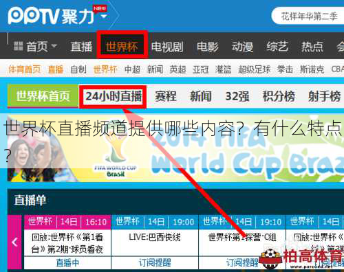 世界杯直播频道提供哪些内容？有什么特点？