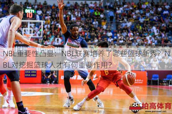 NBL重要性凸显：NBL联赛培养了哪些篮球新秀？NBL对挖掘篮球人才有何重要作用？