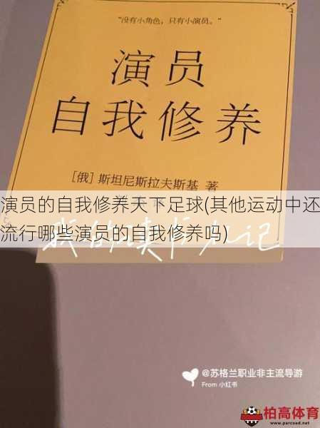 演员的自我修养天下足球(其他运动中还流行哪些演员的自我修养吗)