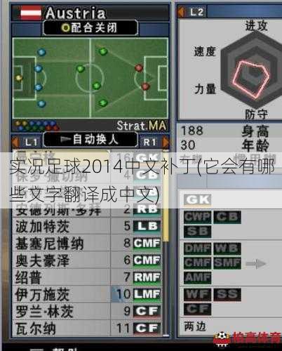 实况足球2014中文补丁(它会有哪些文字翻译成中文)