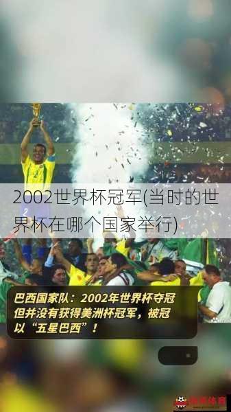 2002世界杯冠军(当时的世界杯在哪个国家举行)