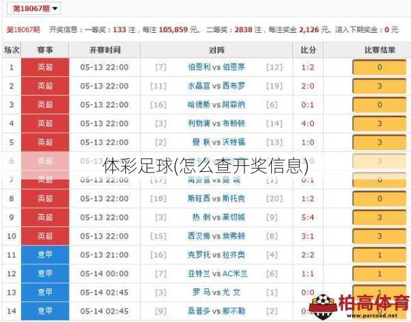 体彩足球(怎么查开奖信息)